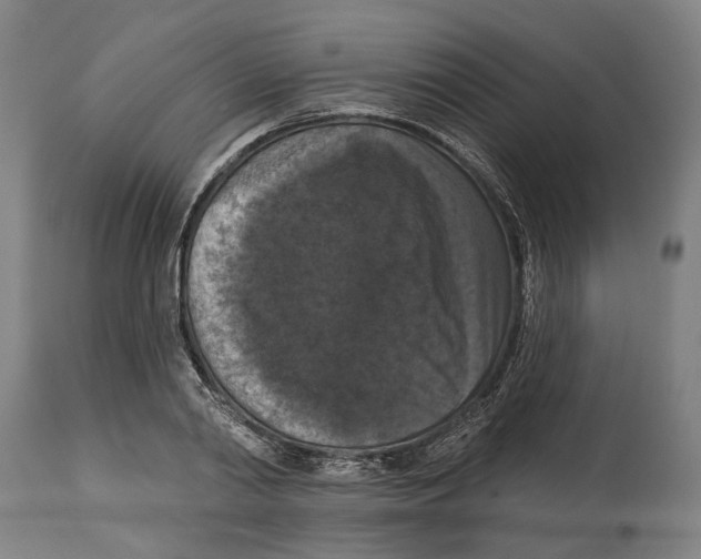 X0000114580790200911161308