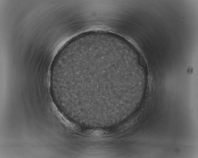 X0000114580791200911161308