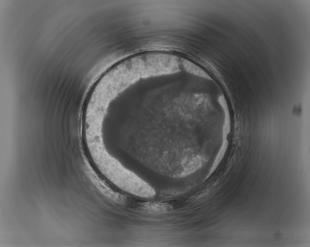 X0000114580795200911161308