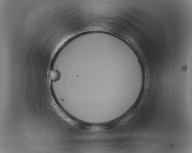 X0000114580796200911161308