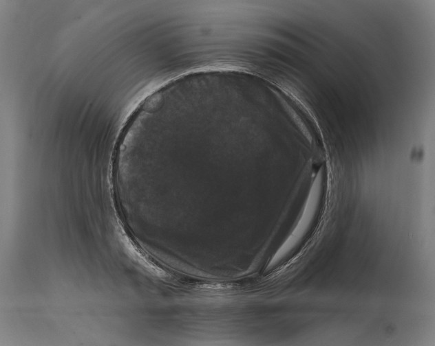 X0000114580797200911161308