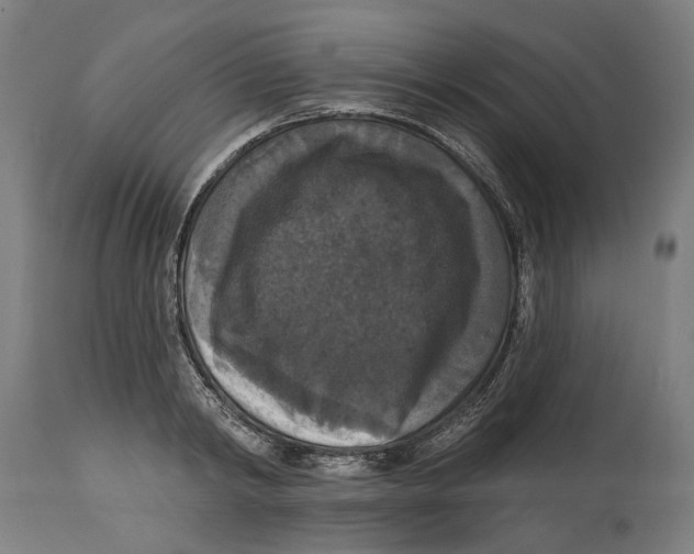 X0000114580798200911161308