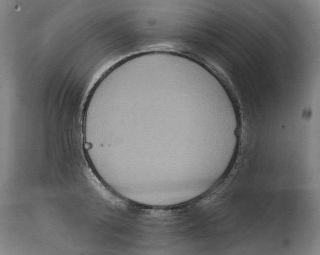 X0000114580800200911161308