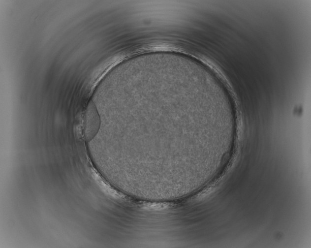 X0000114580801200911161308