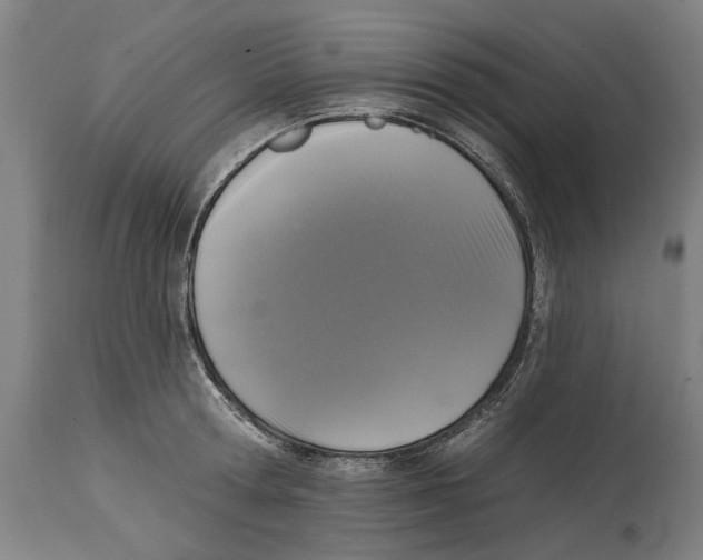 X0000114580802200911161308