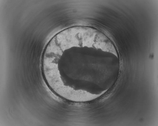 X0000114580803200911161308