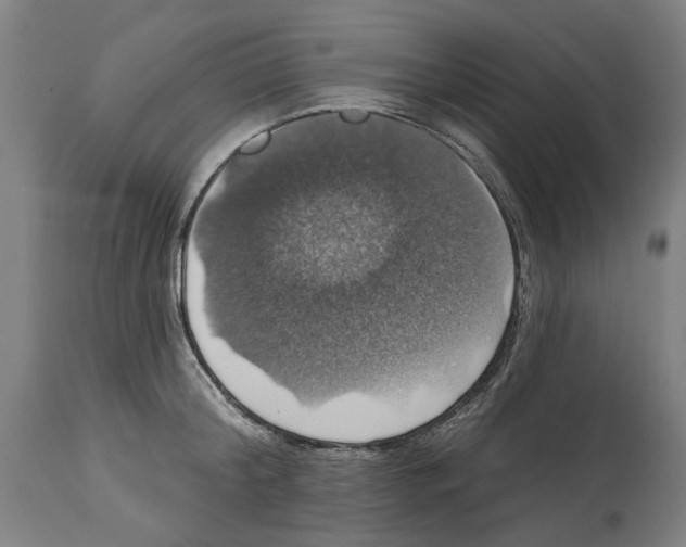 X0000114580804200911161308