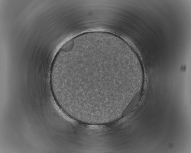 X0000114580805200911161308