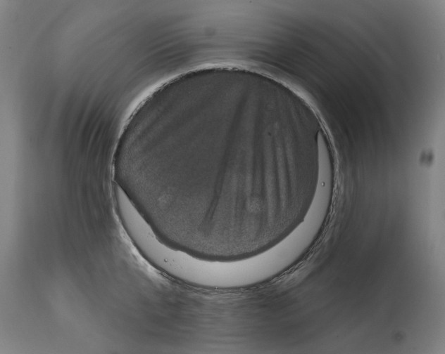 X0000114580807200911161308