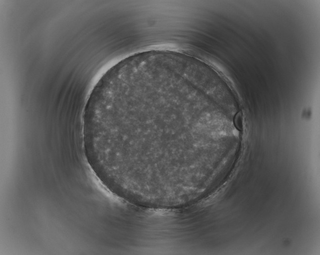 X0000114580808200911161308