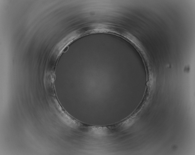 X0000114580809200911161308