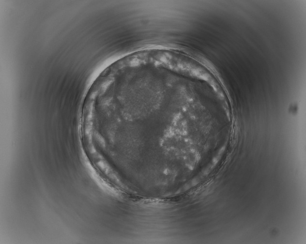 X0000114580811200911161308