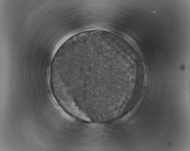 X0000114580812200911161308