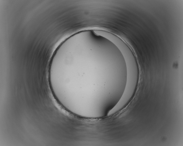 X0000114580813200911161308