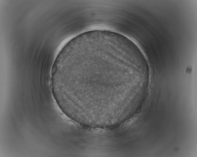 X0000114580815200911161308