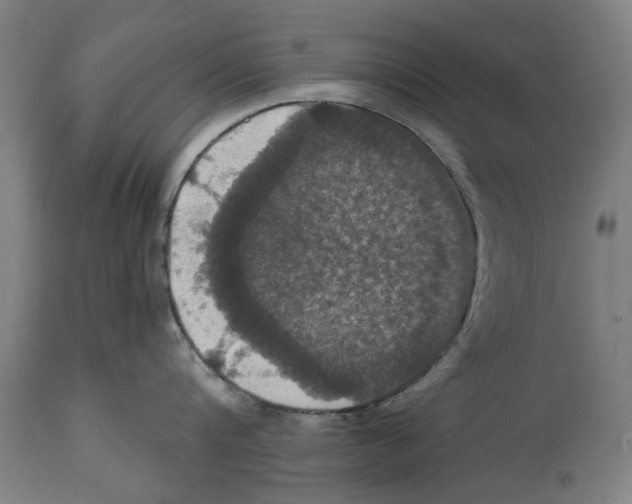 X0000114580816200911161308