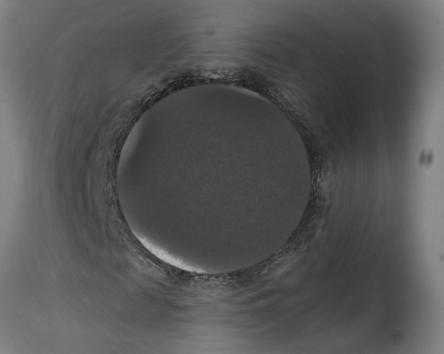 X0000114580817200911161307