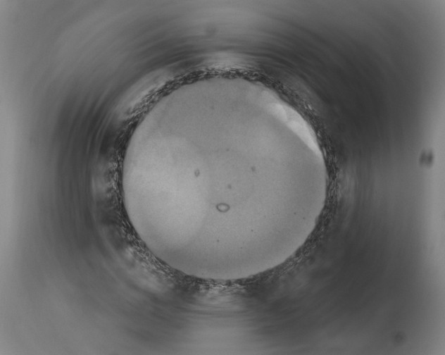 X0000114580824200911161307