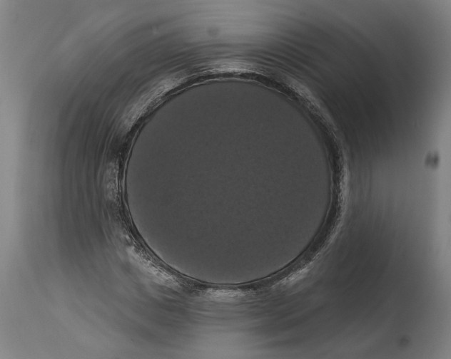 X0000114580825200911161307