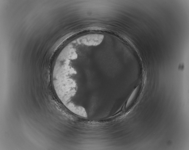 X0000114580829200911161307