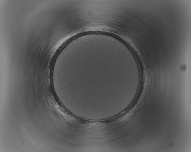 X0000114580830200911161307