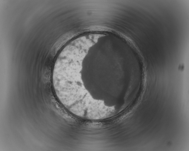 X0000114580833200911161307