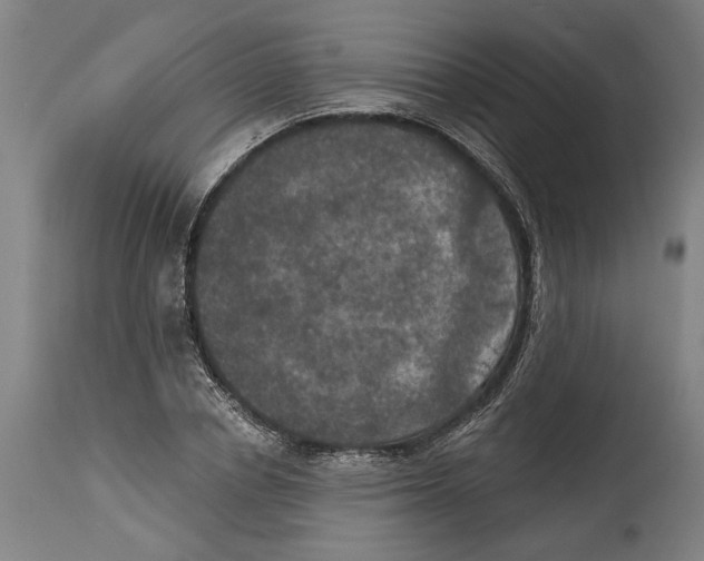 X0000114580834200911161307