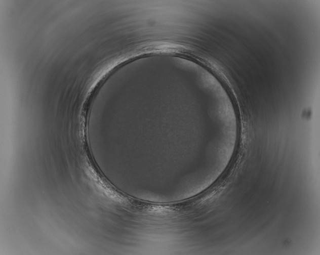 X0000114580835200911161307