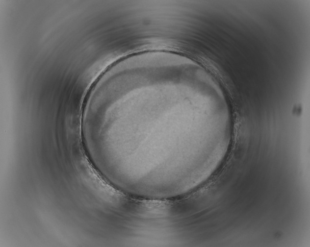 X0000114580836200911161307