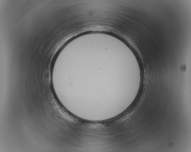 X0000114580837200911161307