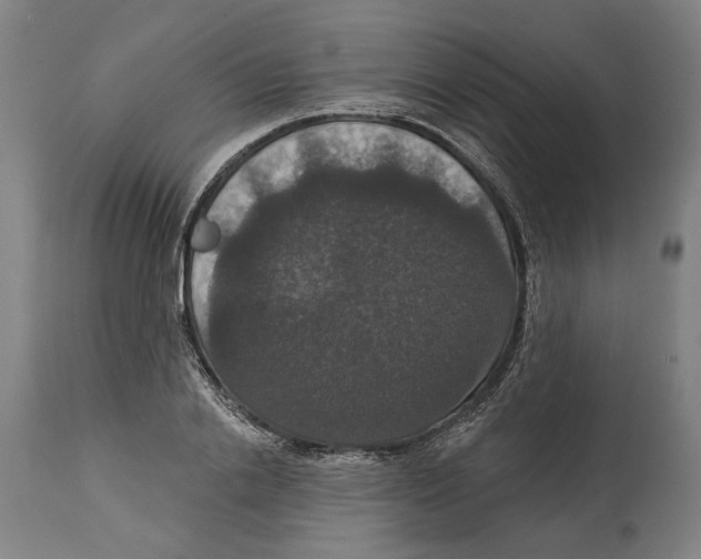 X0000114580838200911161307