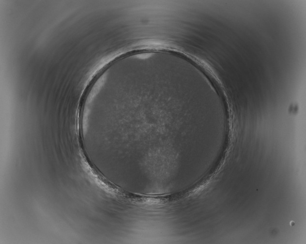 X0000114580839200911161307