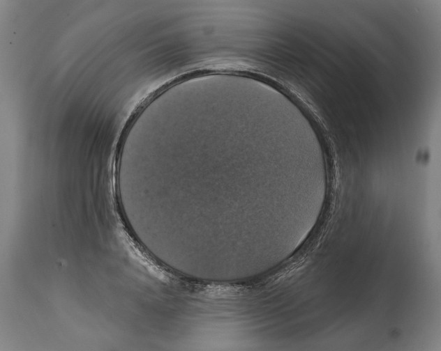 X0000114580840200911161307