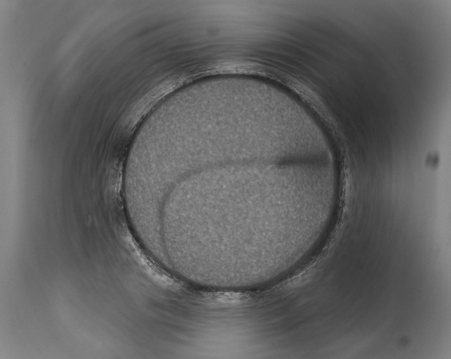 X0000114580841200911161307