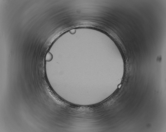 X0000114580842200911161307