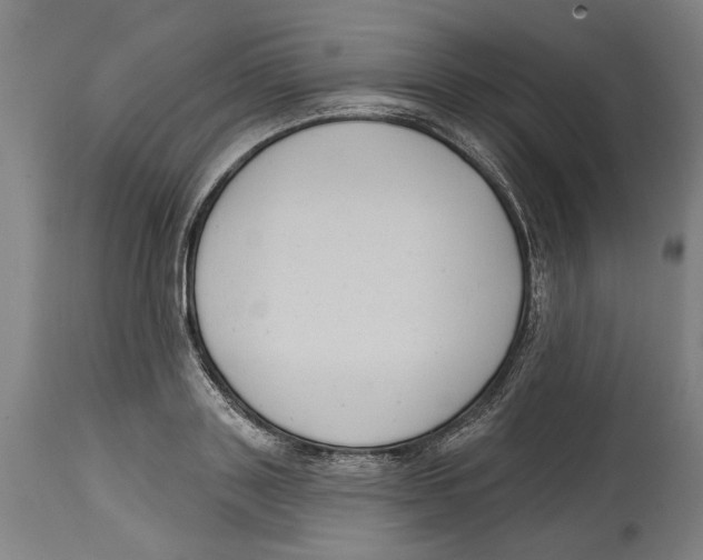 X0000114580843200911161307