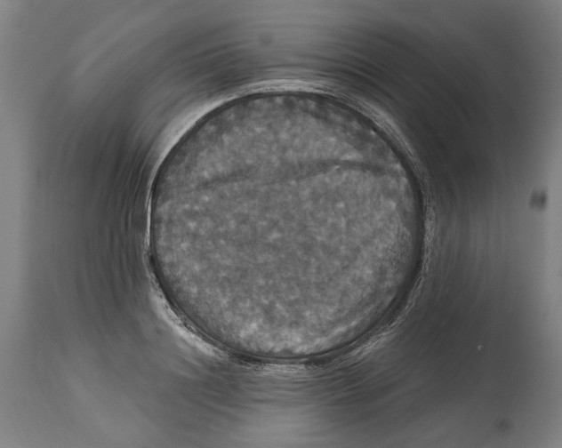 X0000114580844200911161307