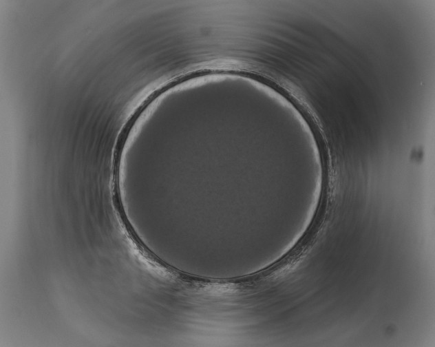 X0000114580845200911161307