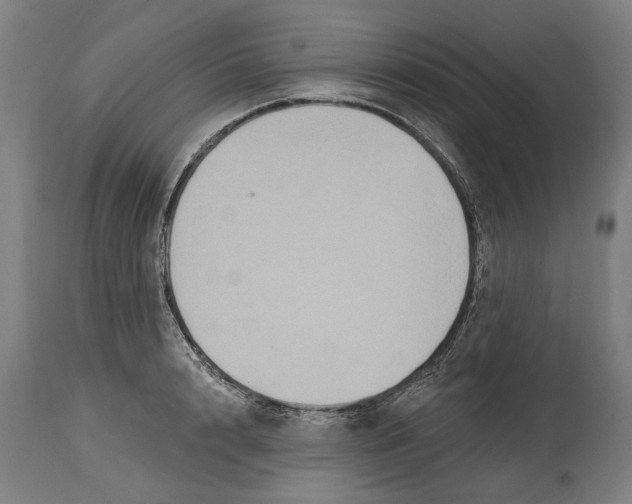 X0000114580848200911161308