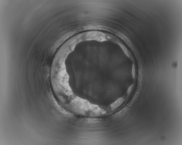 X0000114580849200911161308