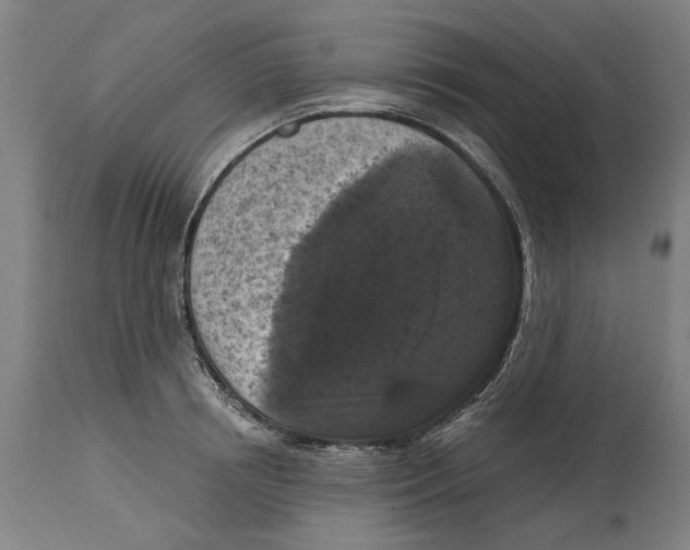 X0000114580850200911161308