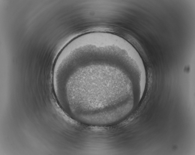 X0000114580852200911161308