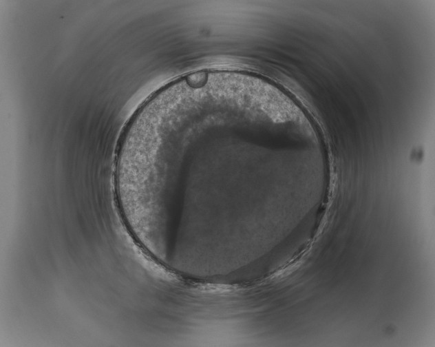 X0000114580853200911161308