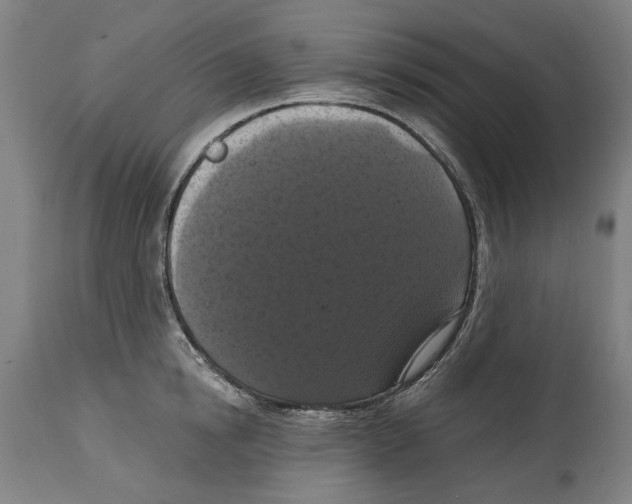 X0000114580854200911161308