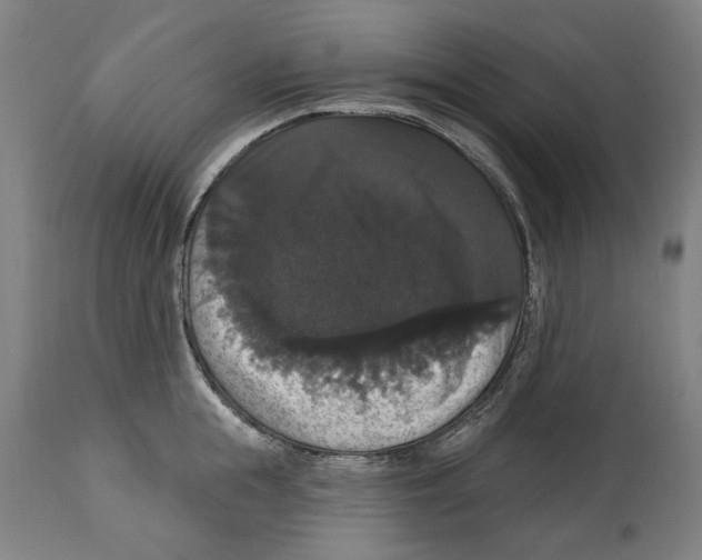 X0000114580855200911161308