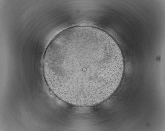 X0000114580856200911161308