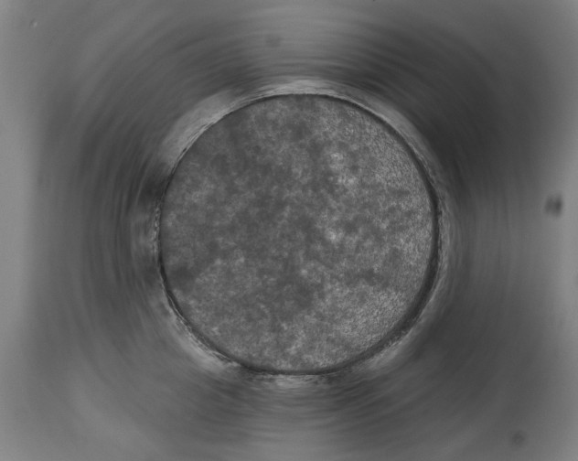 X0000114580857200911161308