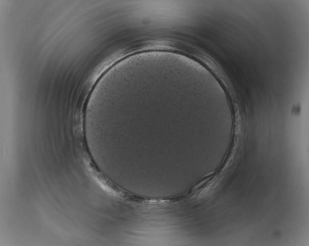 X0000114580858200911161308