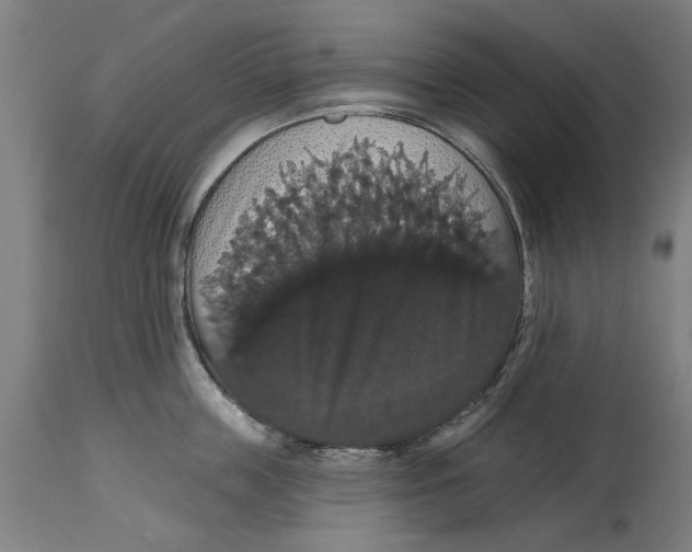 X0000114580859200911161308