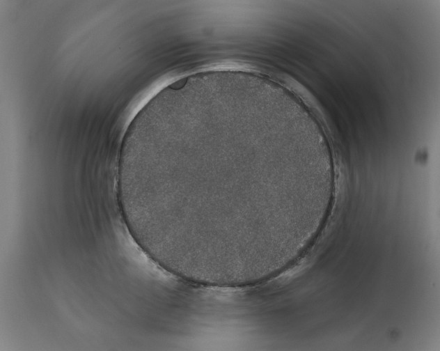 X0000114580860200911161308